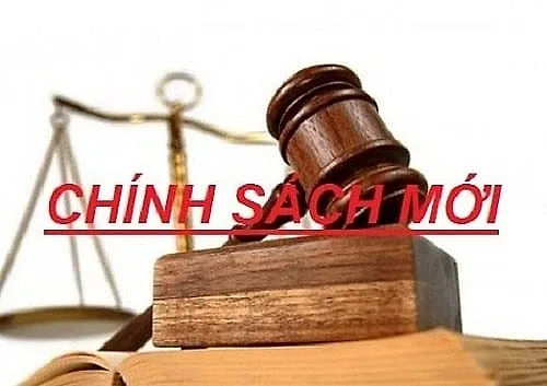 Một số chính sách mới có hiệu lực từ tháng 6/2026