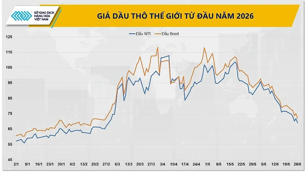 anh-2_-dien-bien-gia-dau-tho-the-gioi.jpg