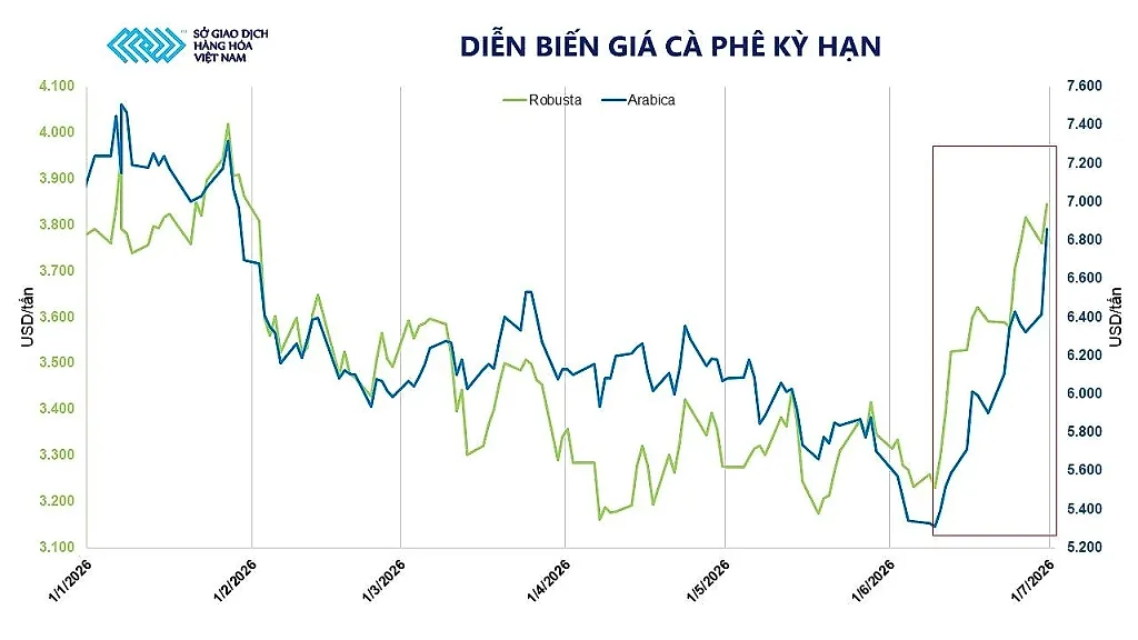 anh-2_-dien-bien-gia-ca-phe-ky-han.jpg