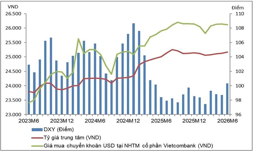 db-dxy.jpg