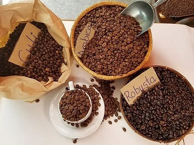 cafe.jpg