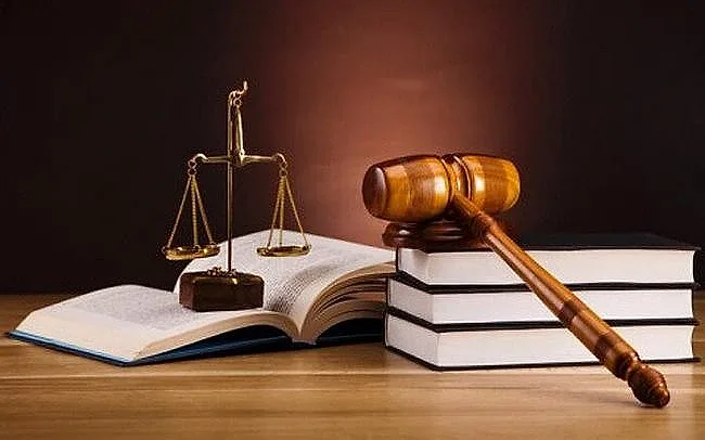 Chính phủ cho ý kiến đối với 11 dự án luật và 1 Nghị quyết