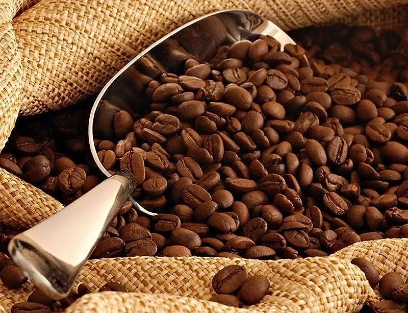 Cà phê chế biến sâu tăng tốc, mở rộng dư địa xuất khẩu