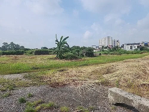 Khẩn trương rà soát, đề xuất giải pháp tháo gỡ vướng mắc cho các dự án tồn đọng, kéo dài