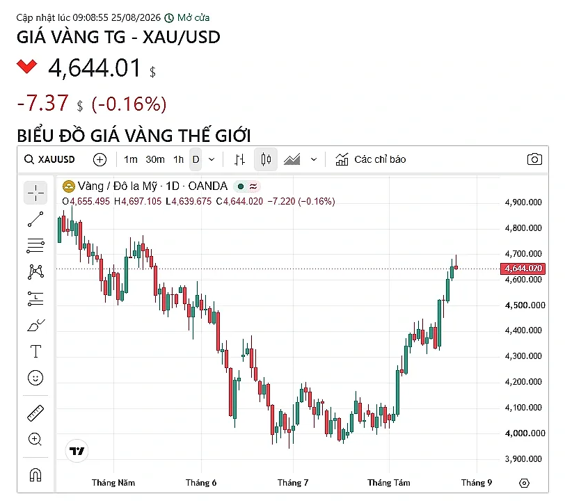 screenshot-2026-08-25-090901.png