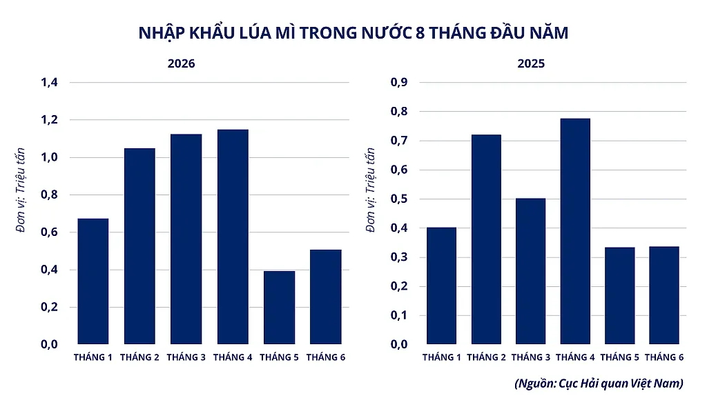 anh-7_-nhap-khau-lua-mi-viet-nam-8-thang-dau-nam.png