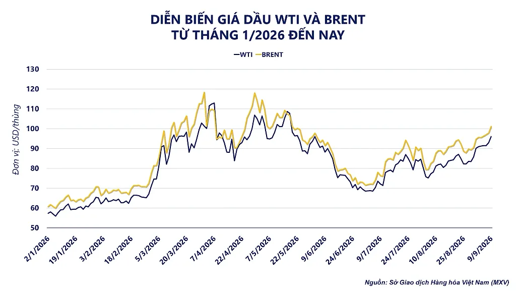 anh-2_-dien-bien-gia-dau-tho-2-.png