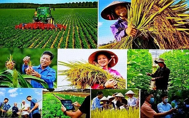 Mức hỗ trợ phí bảo hiểm nông nghiệp tăng, phạm vi bảo hiểm mở rộng