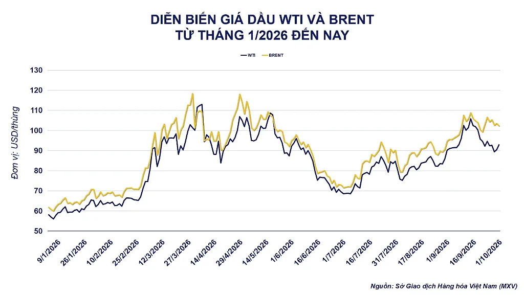 anh-2_-dien-bien-gia-dau-tho-4-.png