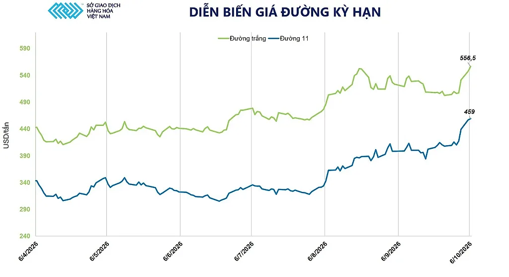 anh-2_-dien-bien-gia-duong.jpg