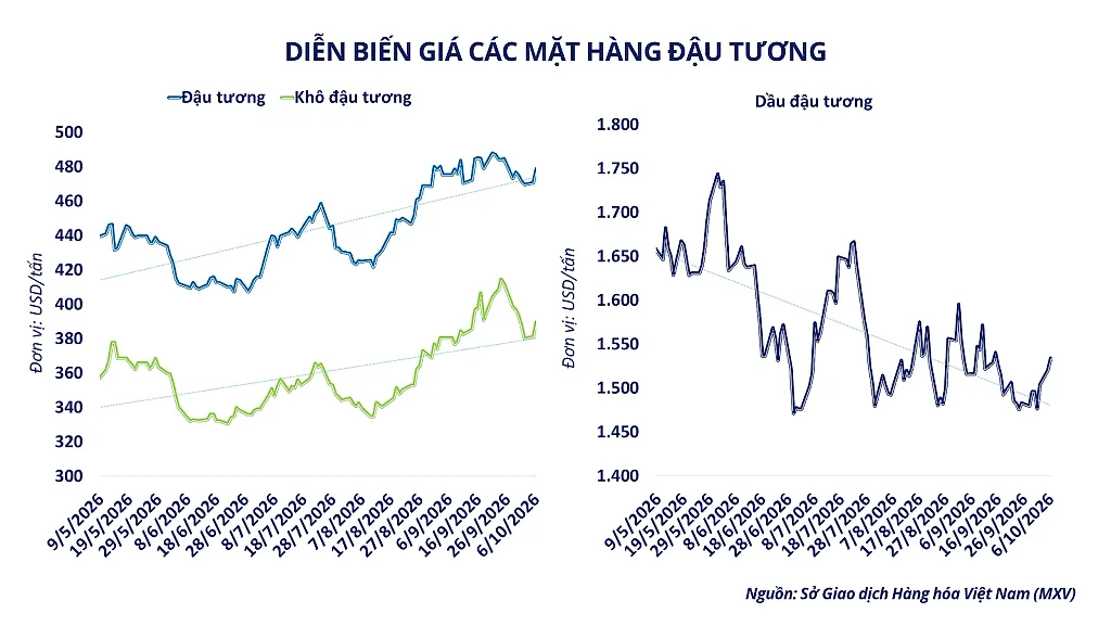 anh-3_-dien-bien-gia-nhom-ho-dau.png