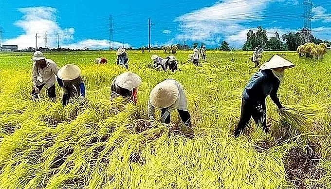 Từ 20/10, hộ nghèo và cận nghèo được hỗ trợ tối đa 95% phí bảo hiểm nông nghiệp