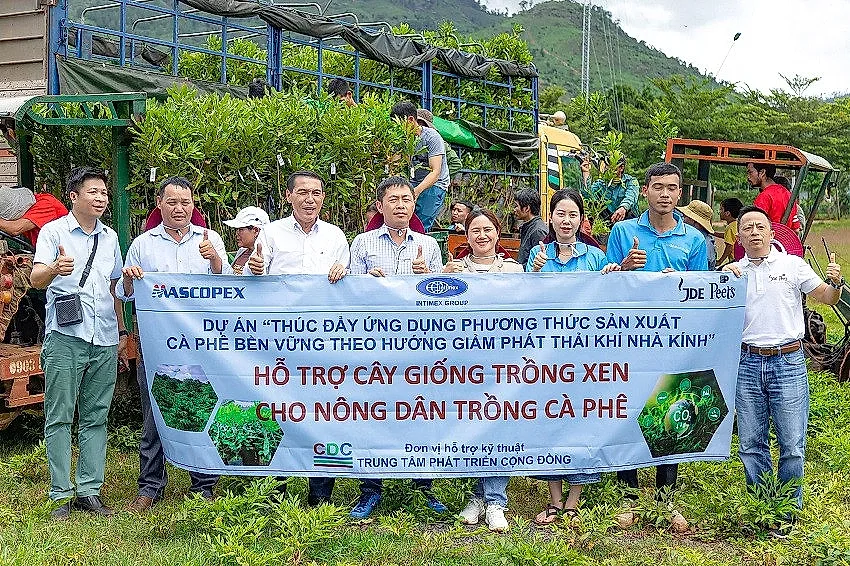 Hỗ trợ cây giống trồng xen