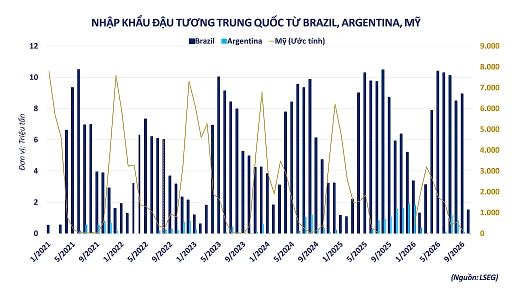 Ảnh 1_ Nhập khẩu đậu tương Trung Quốc từ Brazil, Argentina, Mỹ