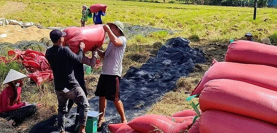 ‏Dòng chảy tín dụng tiếp sức kinh tế hợp tác xã An Giang phát triển‏