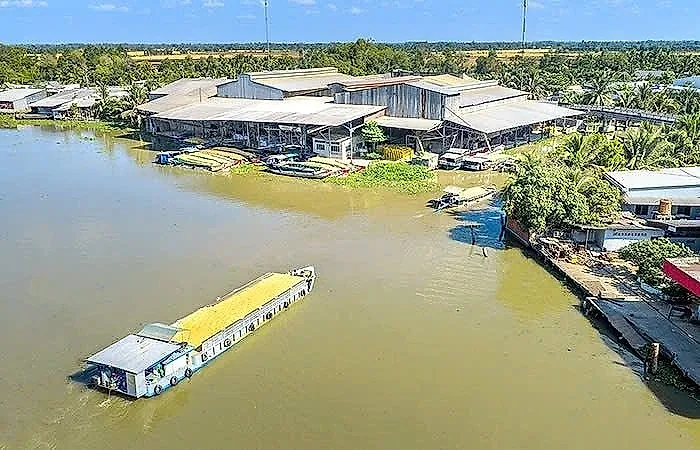 Dòng vốn Agribank tại ĐBSCL: Từ “mạch máu” tín dụng đến khát vọng kiến tạo giá trị xanh bền vững