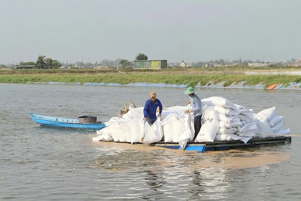 Khơi thông dòng vốn tín dụng: Đòn bẩy đưa thủy sản và chăn nuôi tỉnh Đồng Tháp bứt phá năm 2026