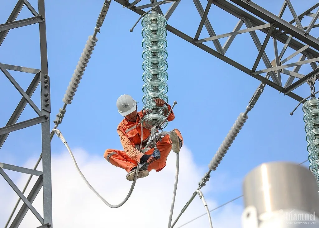 Bị khóa hạn mức tín dụng từ cuối 2025, Vneco4 lên kế hoạch tăng vốn gấp đôi
