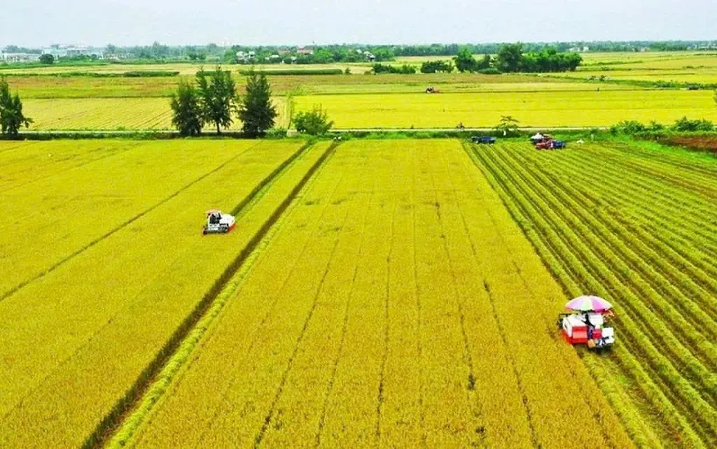 Tín dụng xanh – động lực thúc đẩy chuyển đổi nông nghiệp xanh bền vững trước tác động của biến đổi khí hậu
