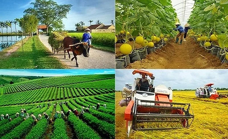 Tạo điều kiện mở rộng tín dụng, tăng khả năng tiếp cận sản phẩm, dịch vụ ngân hàng của khu vực nông nghiệp, nông thôn, nông dân