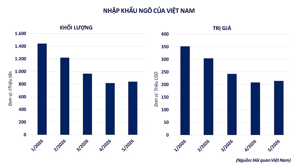 anh-5_-nhap-khau-ngo-cua-vn.png