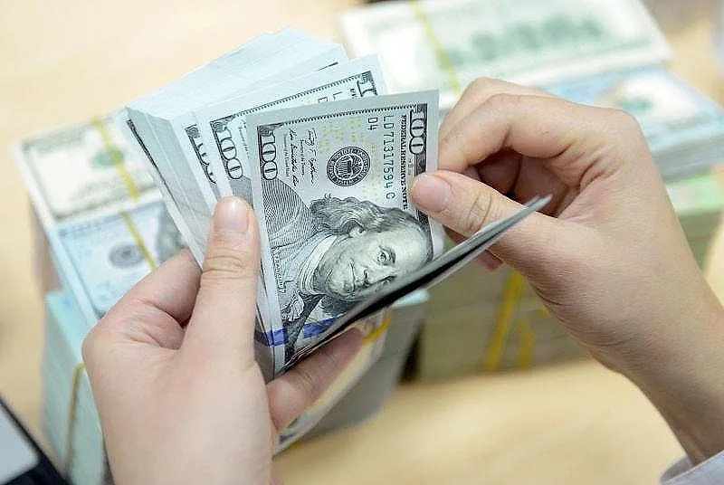 Tỷ giá USD hôm nay 11.6