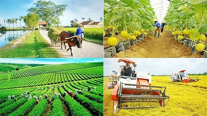 Thành lập Ban Chỉ đạo Trung ương thực hiện các Chương trình mục tiêu quốc gia