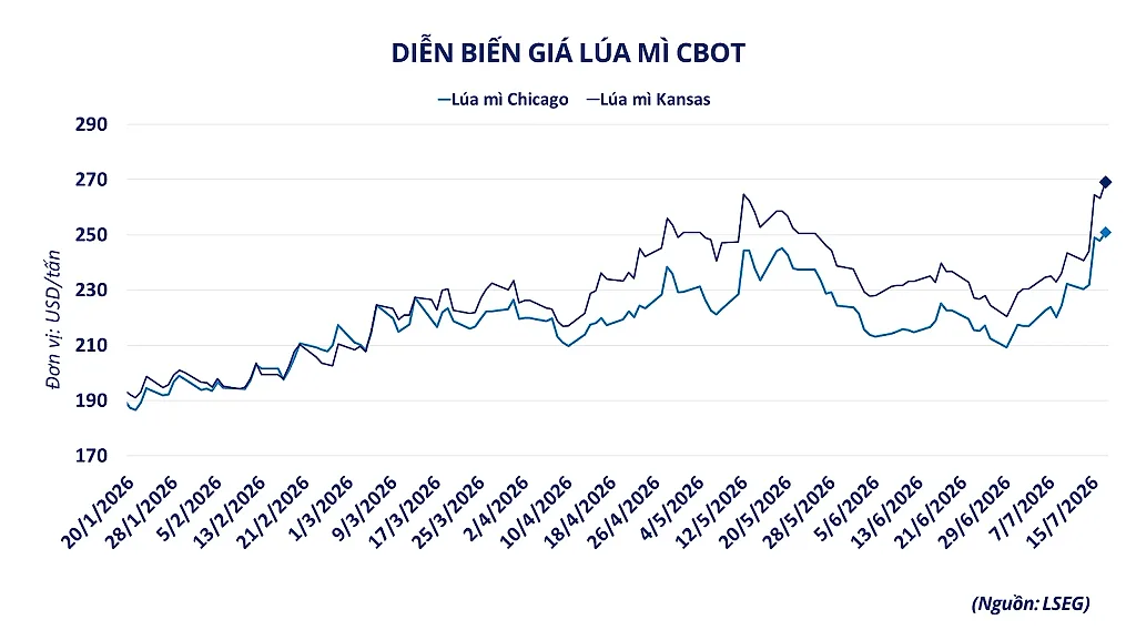 anh-3-dien-bien-gia-lua-mi-cbot.png