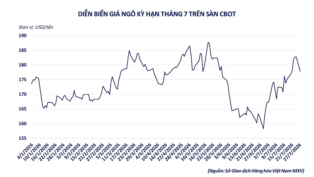anh-4_-dien-bien-gia-ngo-cbot-ky-han-thang-7.png