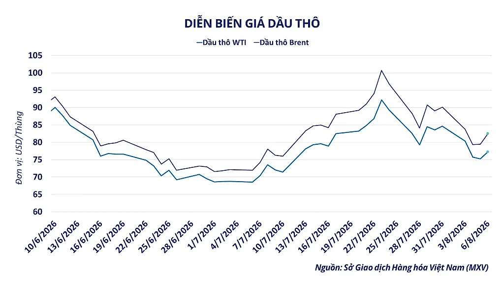 anh-2_-dien-bien-gia-dau-tho.png