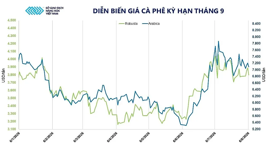 anh-3_-dien-bien-gia-ca-phe-ky-han-thang-9-1-.jpg