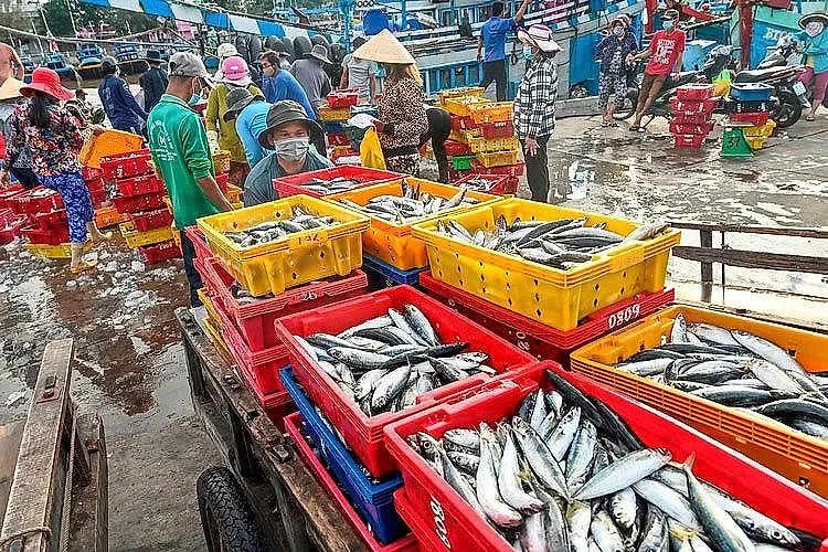thuy-san-binh-thuan.jpg