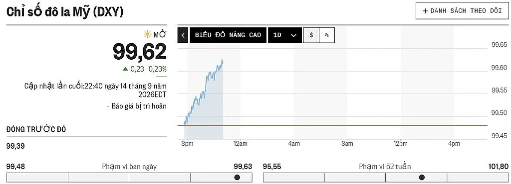 dxy-15.9.jpg