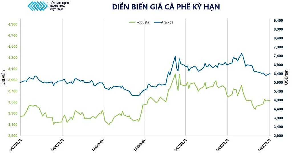 anh-5_-dien-bien-gia-ca-phe-ky-han.jpg