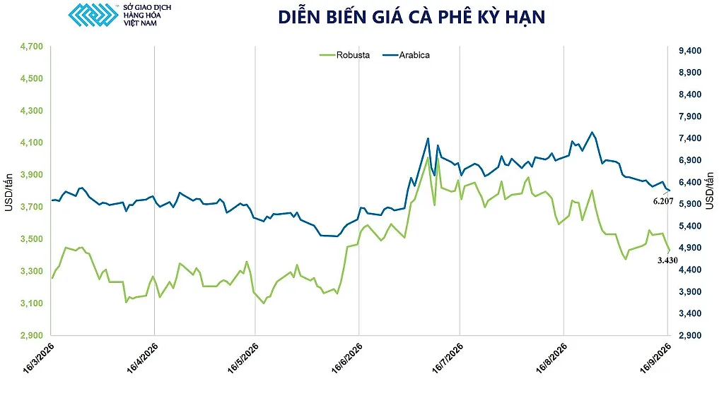 anh-4_-dien-bien-gia-ca-phe.jpg