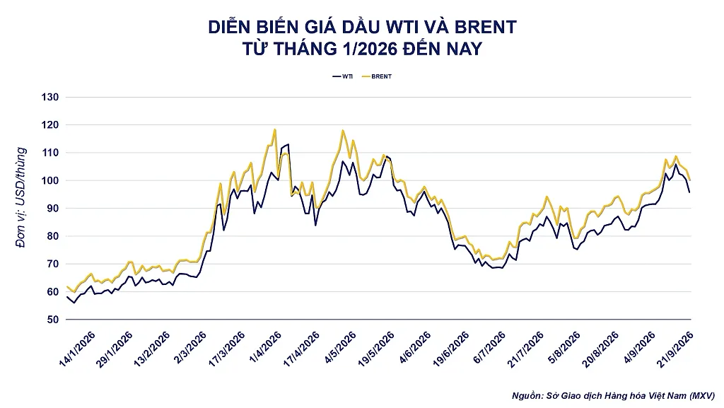 anh-2_-dien-bien-gia-dau-tho.png