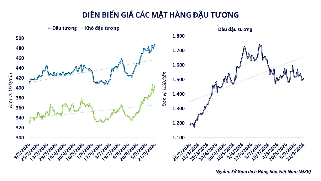 anh-5_-dien-bien-gia-nhom-ho-dau.png