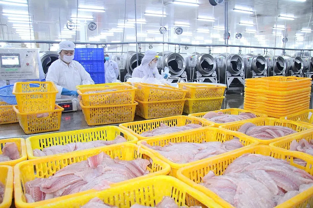 Dòng chảy tín dụng động lực thúc đẩy tăng trưởng kinh tế tỉnh Đồng Tháp