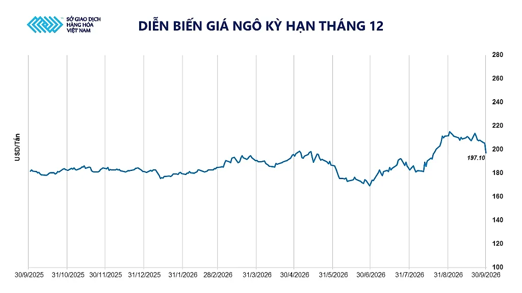 anh-4_-dien-bien-gia-ngo-cbot.png