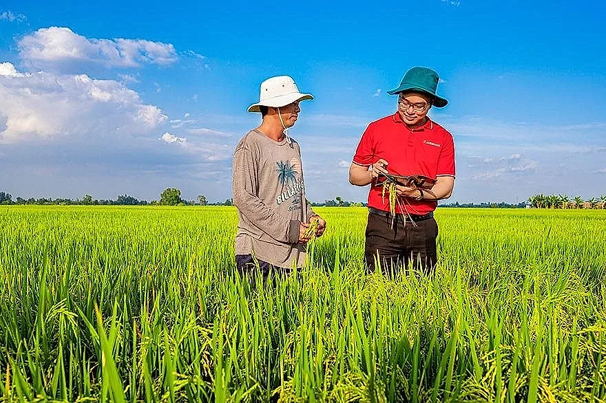 Kết nối tín dụng xanh với thị trường các-bon: Góc nhìn và giải pháp từ Agribank