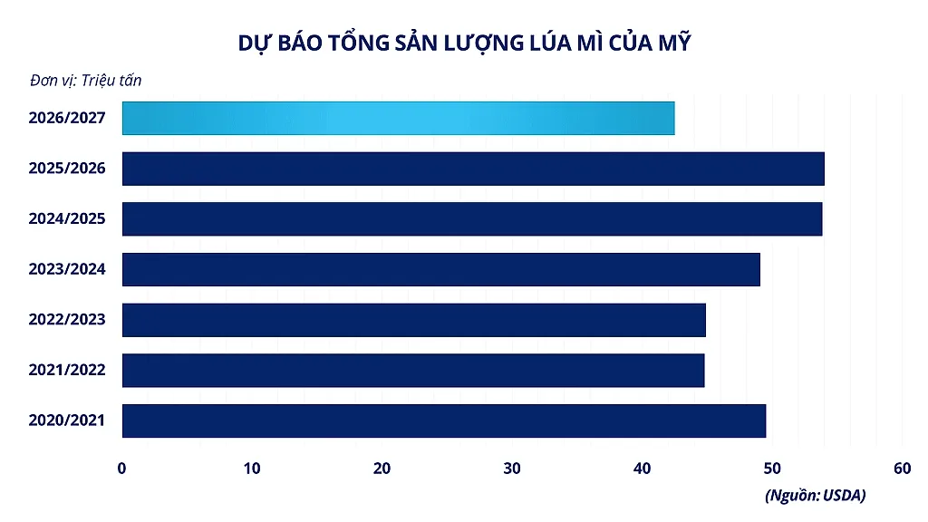 Ảnh 4_ Dự báo tổng sản lượng lúa mì của Mỹ