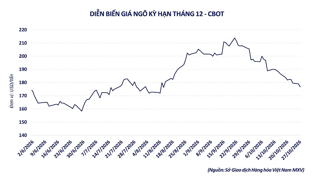 Ảnh 2_ Diễn biến giá ngô